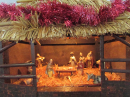 The Manger